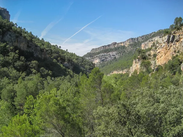 Barranco boscoso entre paredes rocosas.