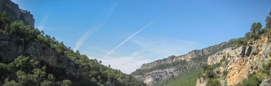 Barranco boscoso entre paredes rocosas.