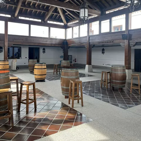 Enogastronomía Castilla-La Mancha