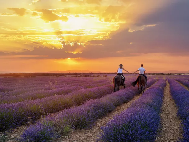 Una experiencia que no se explica...se siente