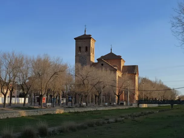 Iglesia junto a un parque con árboles sin hojas y zona verde en primer plano.