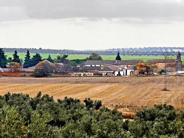 Conjunto de edificios rurales entre campos de cultivo