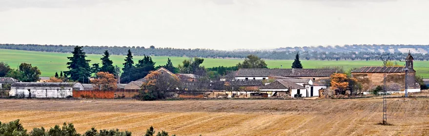 Conjunto de edificios rurales entre campos de cultivo