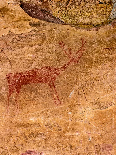 Jabali y ciervo en el yacimiento rupestre de Villar del Humo
