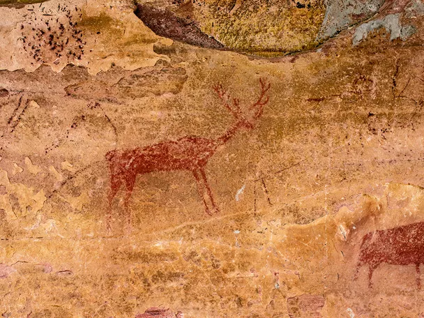 Jabali y ciervo en el yacimiento rupestre de Villar del Humo