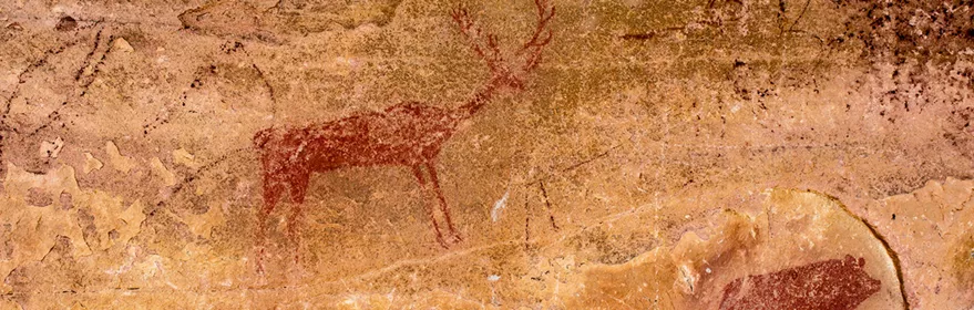 Jabali y ciervo en el yacimiento rupestre de Villar del Humo