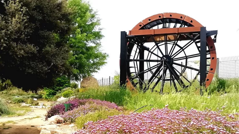 Estructura circular metálica junto a pradera florida y sendero natural.