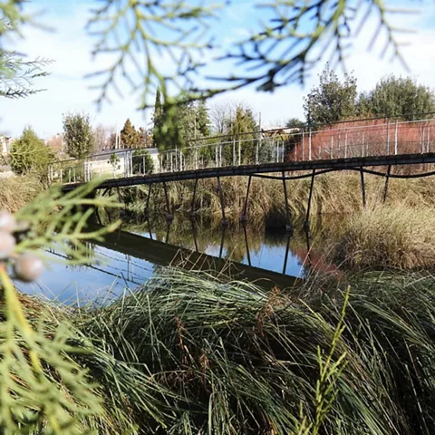 Pasarela peatonal sobre canal de agua rodeada de vegetación ribereña.