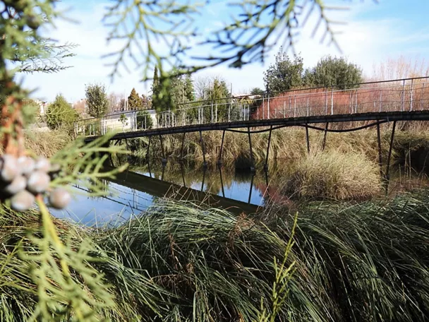 Pasarela peatonal sobre canal de agua rodeada de vegetación ribereña.