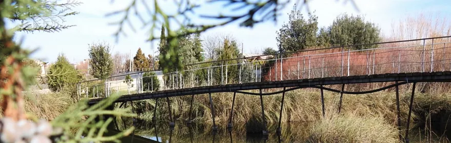 Pasarela peatonal sobre canal de agua rodeada de vegetación ribereña.