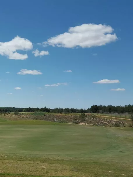 Green amplio rodeado de paisaje abierto