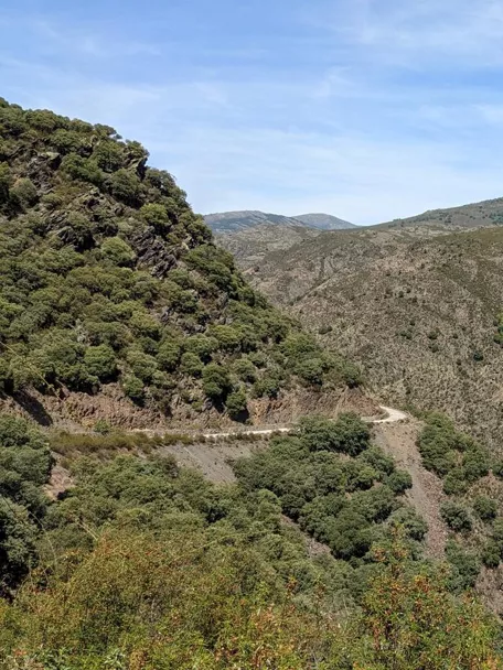 Carretera de montaña con curvas y puente