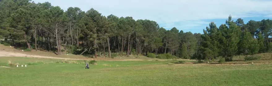 Pradera de juego rodeada de pinos