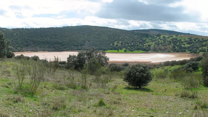 Paisaje de colinas verdes con laguna estacional en el centro