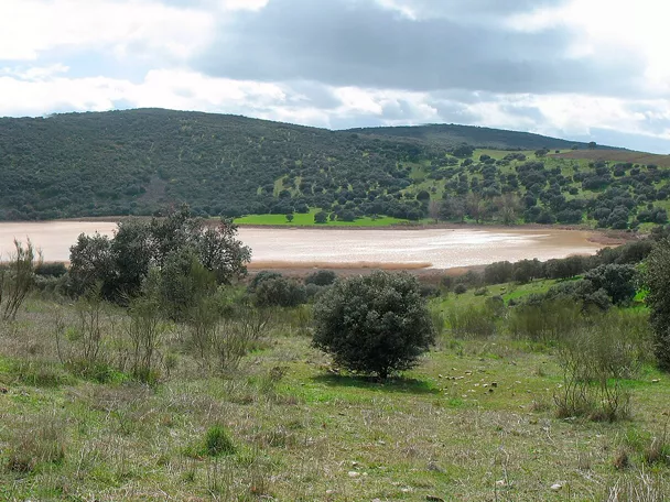Paisaje de colinas verdes con laguna estacional en el centro
