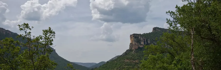 Valle montañoso del alto río.