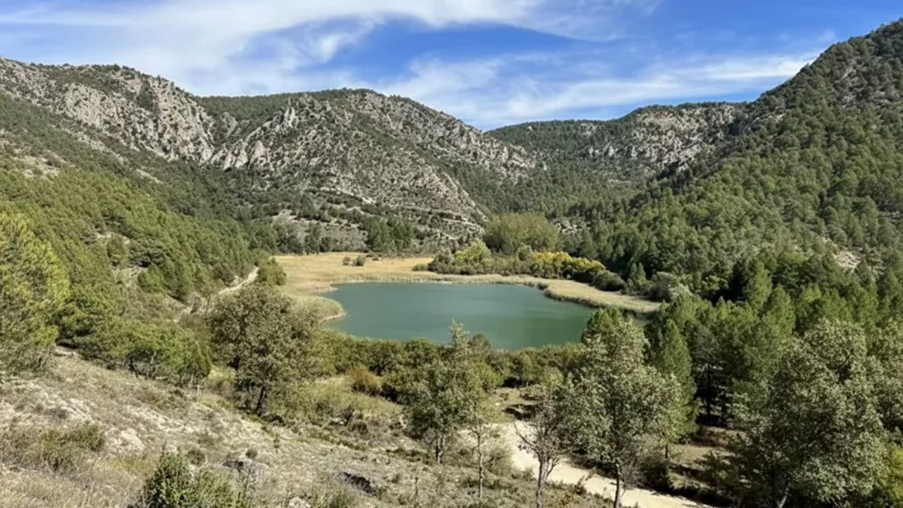 Lago circular entre pinares.
