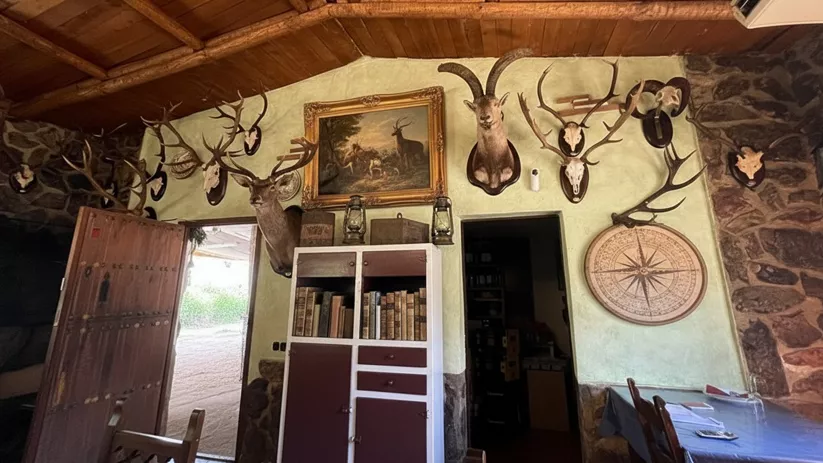 Comedor rústico con trofeos de caza y estantería