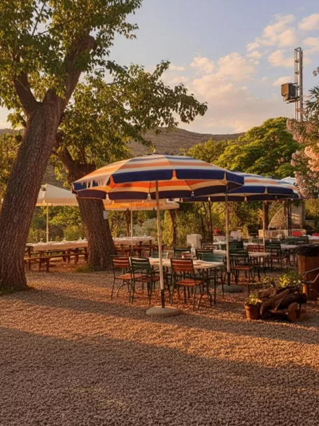 Terraza al aire libre con mesas y sombrillas entre árboles