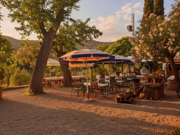 Terraza al aire libre con mesas y sombrillas entre árboles
