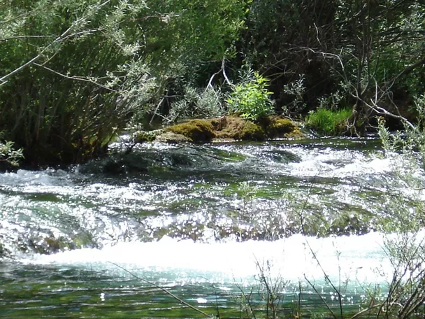 Río en el paraje natural con vegetación de ribera y agua cristalina