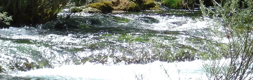 Río en el paraje natural con vegetación de ribera y agua cristalina