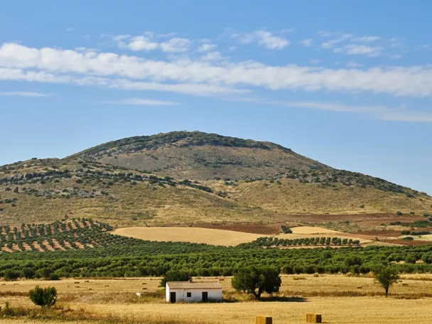 Paisaje agrícola con cerro y cultivos de secano