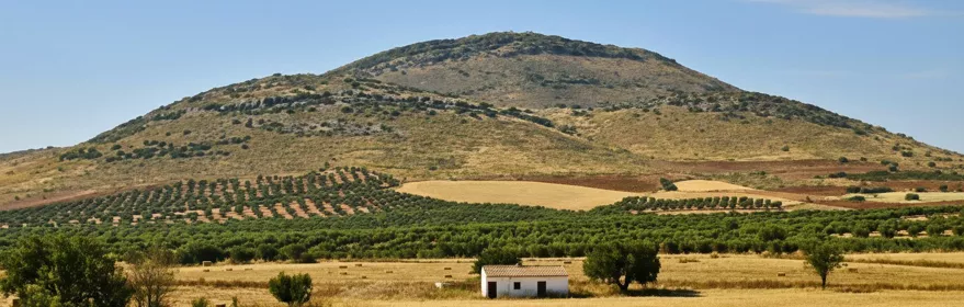 Paisaje agrícola con cerro y cultivos de secano