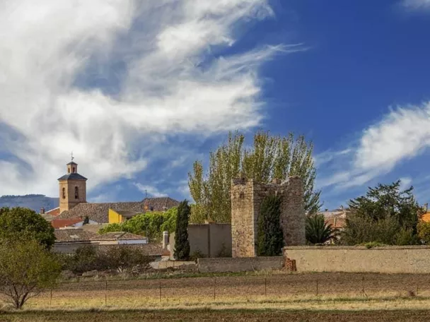 Vista del pueblo con torres y restos de muralla