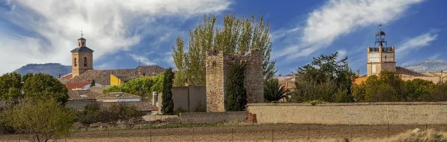 Vista del pueblo con torres y restos de muralla