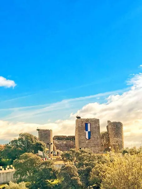 Ruinas de castillo entre árboles bajo cielo azul
