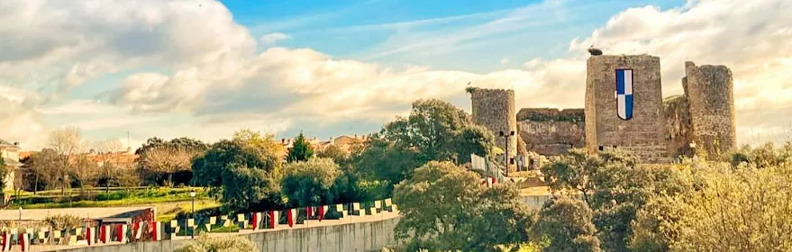 Ruinas de castillo entre árboles bajo cielo azul