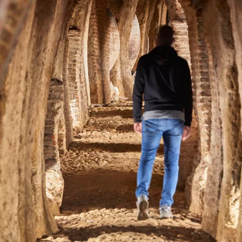 Vista a la bodega Cuevas del Castillejo, Méntrida