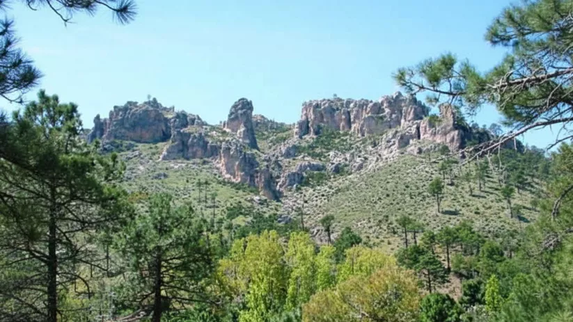 Crestas rocosas sobre un pinar denso bajo cielo despejado.