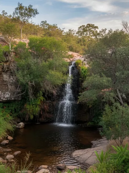 Cascada en un desfiladero rocoso, rodeada de matorral y bosque bajo.