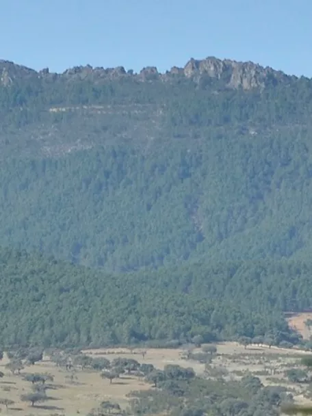 Paisaje montañoso cubierto de bosque con sendero visible en la ladera.