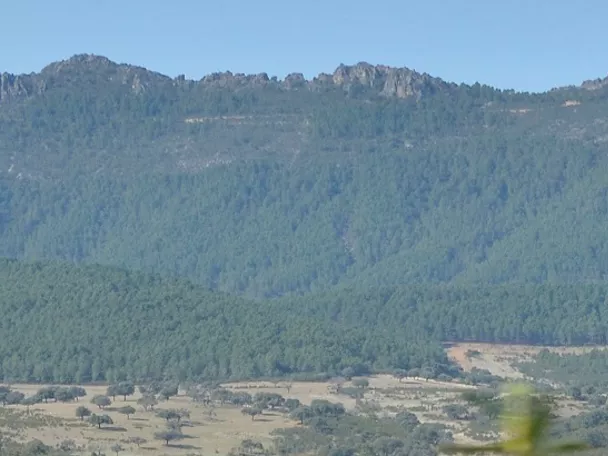 Paisaje montañoso cubierto de bosque con sendero visible en la ladera.
