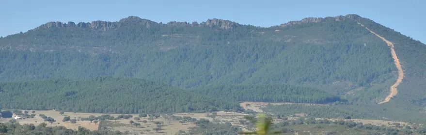 Paisaje montañoso cubierto de bosque con sendero visible en la ladera.