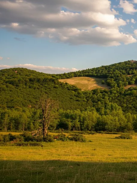 Pradera iluminada por el sol con colinas boscosas y nubes dispersas.
