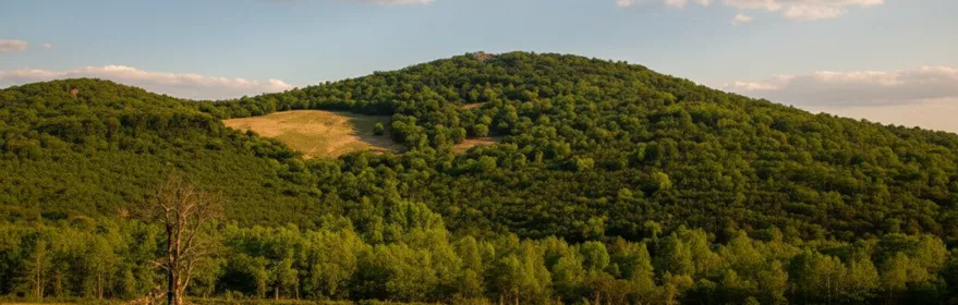 Pradera iluminada por el sol con colinas boscosas y nubes dispersas.
