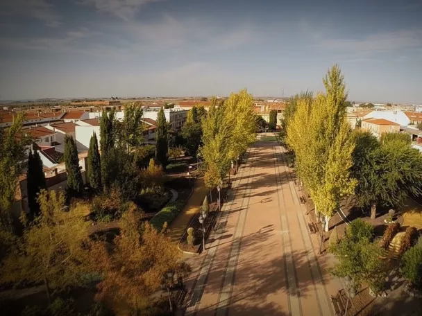 Paseo arbolado con vistas al casco urbano