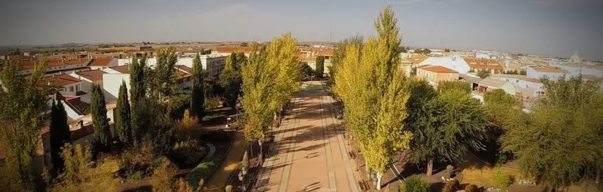 Paseo arbolado con vistas al casco urbano