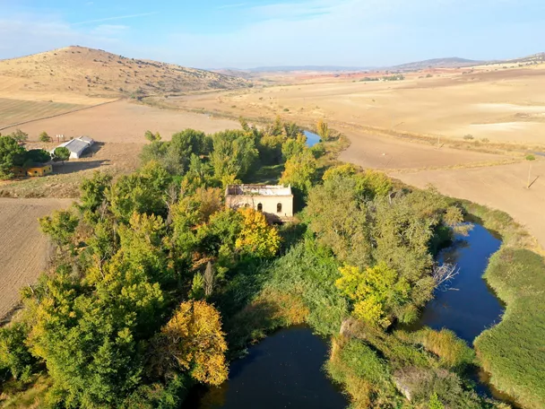 Vista aérea de un río serpenteante entre árboles y campos secos.