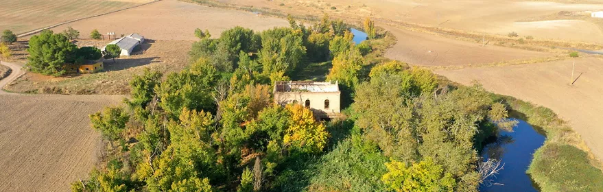 Vista aérea de un río serpenteante entre árboles y campos secos.