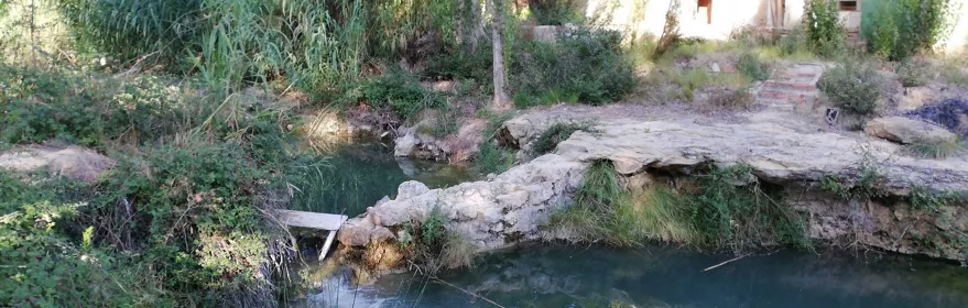 Manantial natural con agua clara junto a una pequeña construcción tradicional.