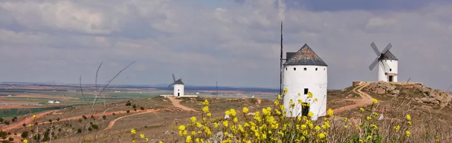Molinos de viento blancos sobre una colina con campos al fondo.