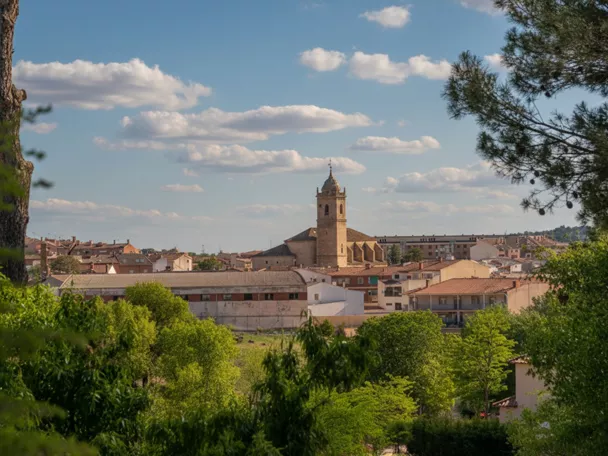 Vista panorámica de núcleo urbano rodeado de arbolado y colinas.