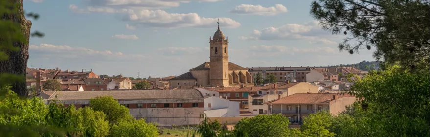 Vista panorámica de núcleo urbano rodeado de arbolado y colinas.