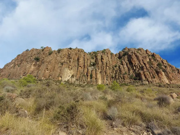 Pared rocosa vertical con tonos ocres rodeada de vegetación seca y arbustos.