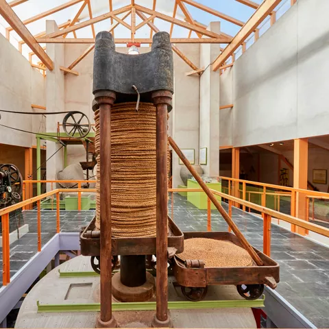 Museo del Aceite, Mora